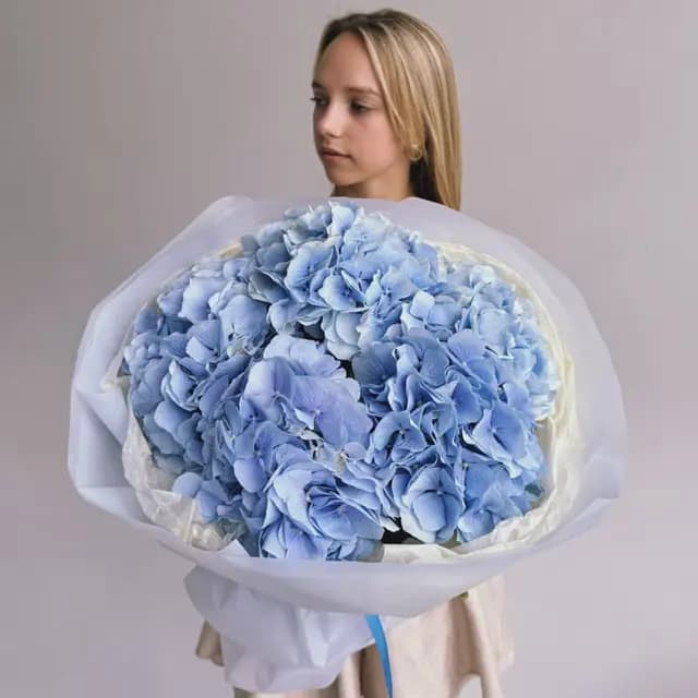 Букет из 5 голландских гортензий (премиум) "VERENA BLUE"
