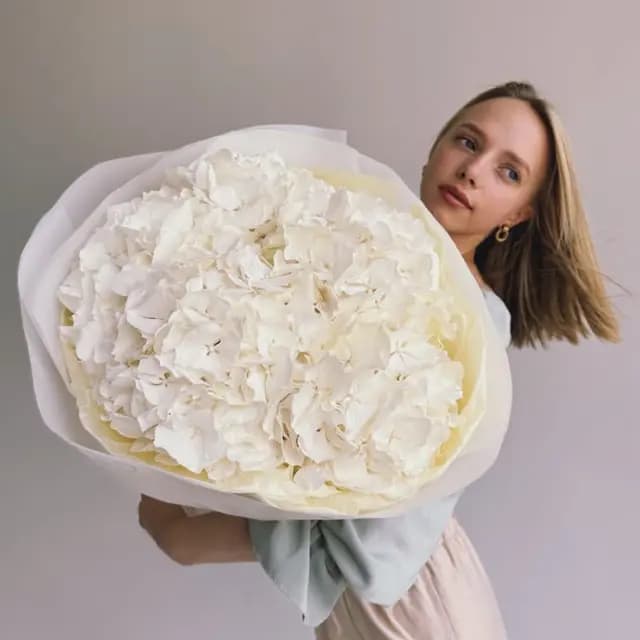 Букет из 5 голландских гортензий (премиум) "VERENA WHITE"