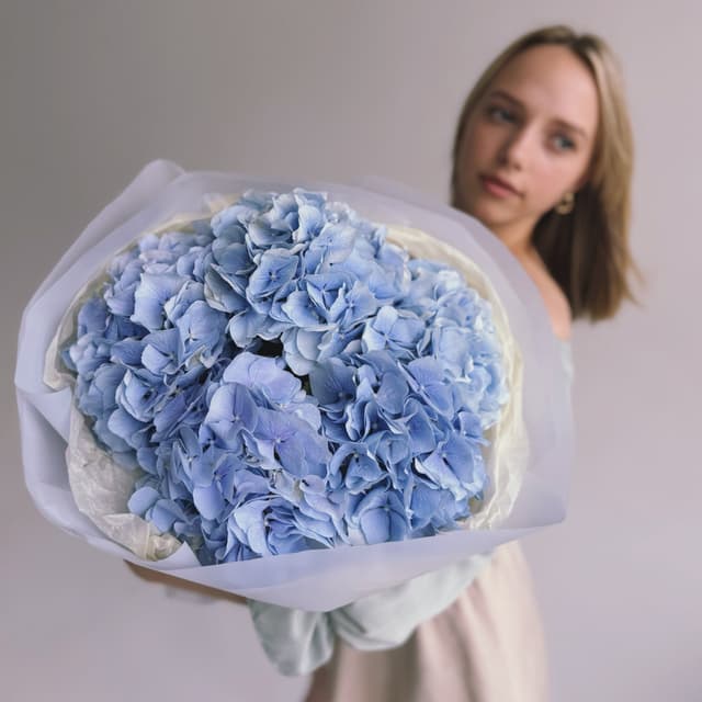 Букет из 5 голландских гортензий (премиум) "VERENA BLUE"
