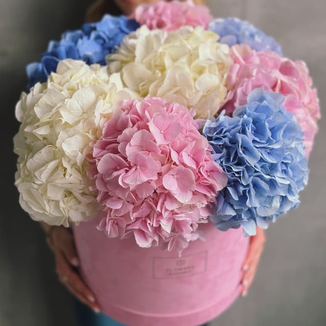 Бархатная коробка с 9 голландскими гортензиями "FRESH SUMMER"