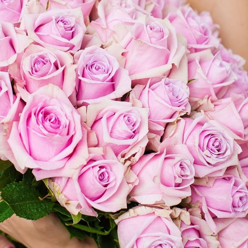 Букет из 51 розы Nautica 60 см "ROSES 41" — Фото 3