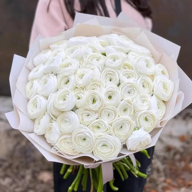 Букет из 101 ранункулюса "WHITE"