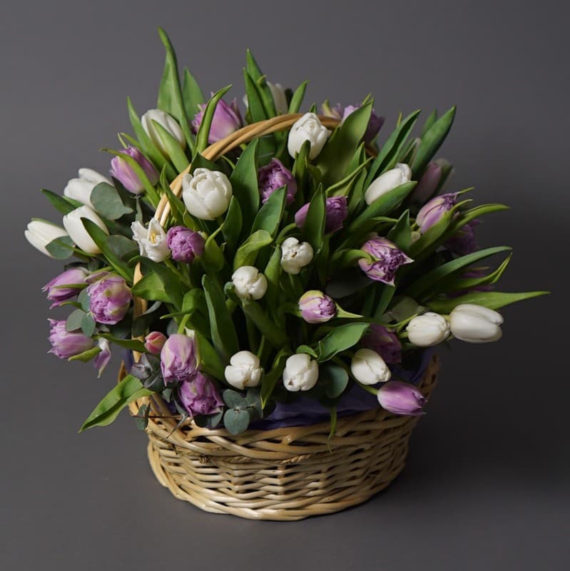 Корзина из 71 белого и фиолетового тюльпана "VIOLET SPRING"