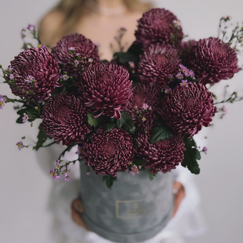 Бархатная коробка из 15 хризантем "BIGOUDI PURPLE" — Фото 4