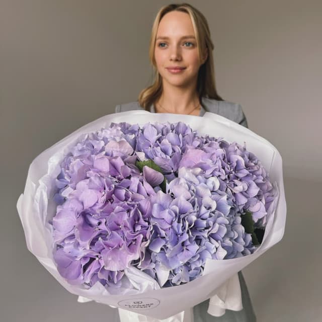 Букет из 5 голландских гортензий (премиум) "VERENA MILKA"