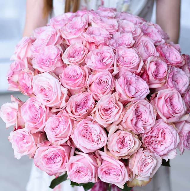 Букет из 51 пионовидной розы "PINK OHARA"