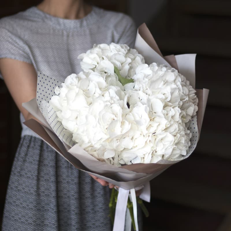 Букет из 5 белых гортензий "WHITE SUMMER"
