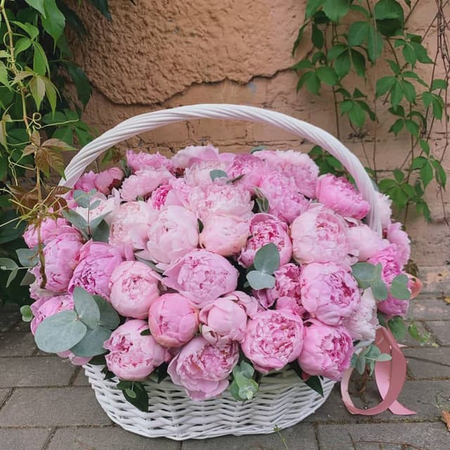 Корзина из 101 пиона "PEONY GLOSS!"