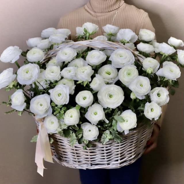 Корзина из 51 ранункулюса "WHITE JOY"
