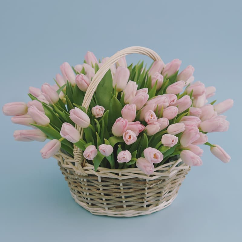 Корзина из 71 нежно-розового тюльпана "LITTLE SPRING"