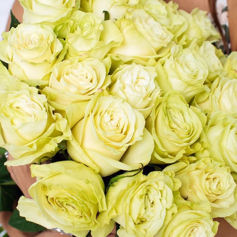 Букет из 25 роз Mondial 60 см "ROSES 33" — Фото 3
