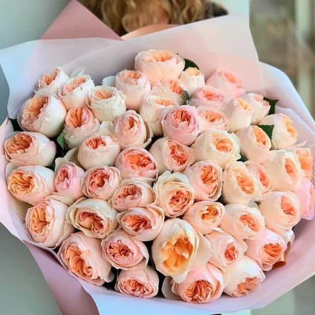 Букет из 51 пионовидной розы "JUILET LOVE"