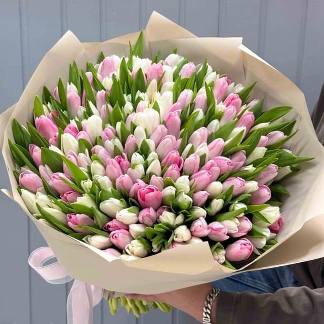 Букет из 151 белого и розового тюльпана "SPRING HARMONY"