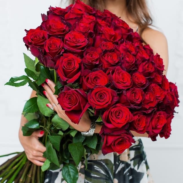 Букет из 51 розы Explorer 60 см "ROSES 18"