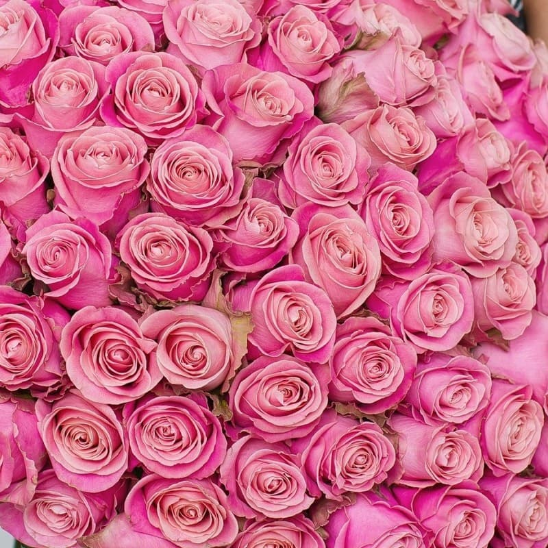 Открыть фото крупно Букет из 101 розы Hermosa 60 см "ROSES 21" — Фото 3