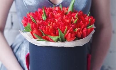 Тюльпан - король цветов