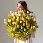 Кашпо из 101 белого и жёлтого тюльпана с мимозой "WHITE SUN"
