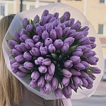 Букет из 51 фиолетового тюльпана "ARGOS"