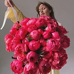 Букет из 35 пионов "CORAL CHARM"