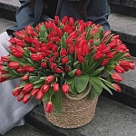 Корзина из 201 красного тюльпана "MAKE A WISH"