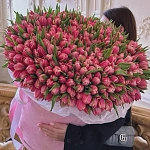 Шляпная коробка из 301 пионовидного тюльпана "GRAND BLOOM"