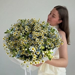 Букет из ромашек с оксипеталумом "DAISY BLUE"