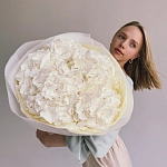 Букет из 5 гортензий "VERENA WHITE"