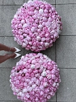 Сет из 2-х корзин из 125 пионов "CLASSIC PEONY SET"