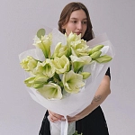 Букет из 7 белых амариллисов "AMARYLLIS ÉLÉGANCE"