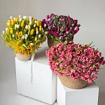 Сет из 3-х композиций с тюльпанами "TULIP TRINITY"