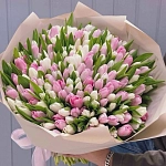 Букет из 151 белого и розового тюльпана "SPRING HARMONY"