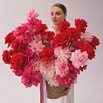 Композиция в кашпо c 75 французскими розами "ÉCLAT DE ROUGE"